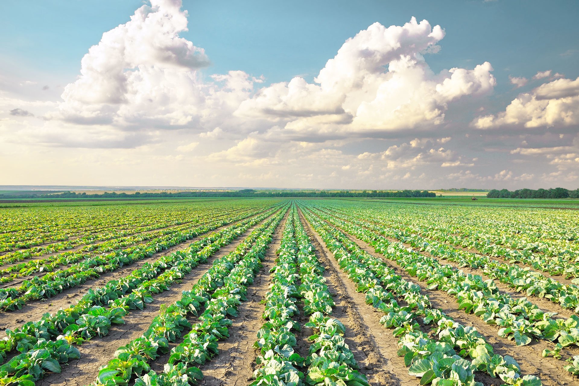 If any of this sounds familiar, you’re not alone